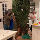 Image for article titled Please Water These Celebrities' Very Thirsty Christmas Trees